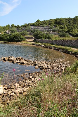 C19858 26-07-2014 uvala Piškera.jpg